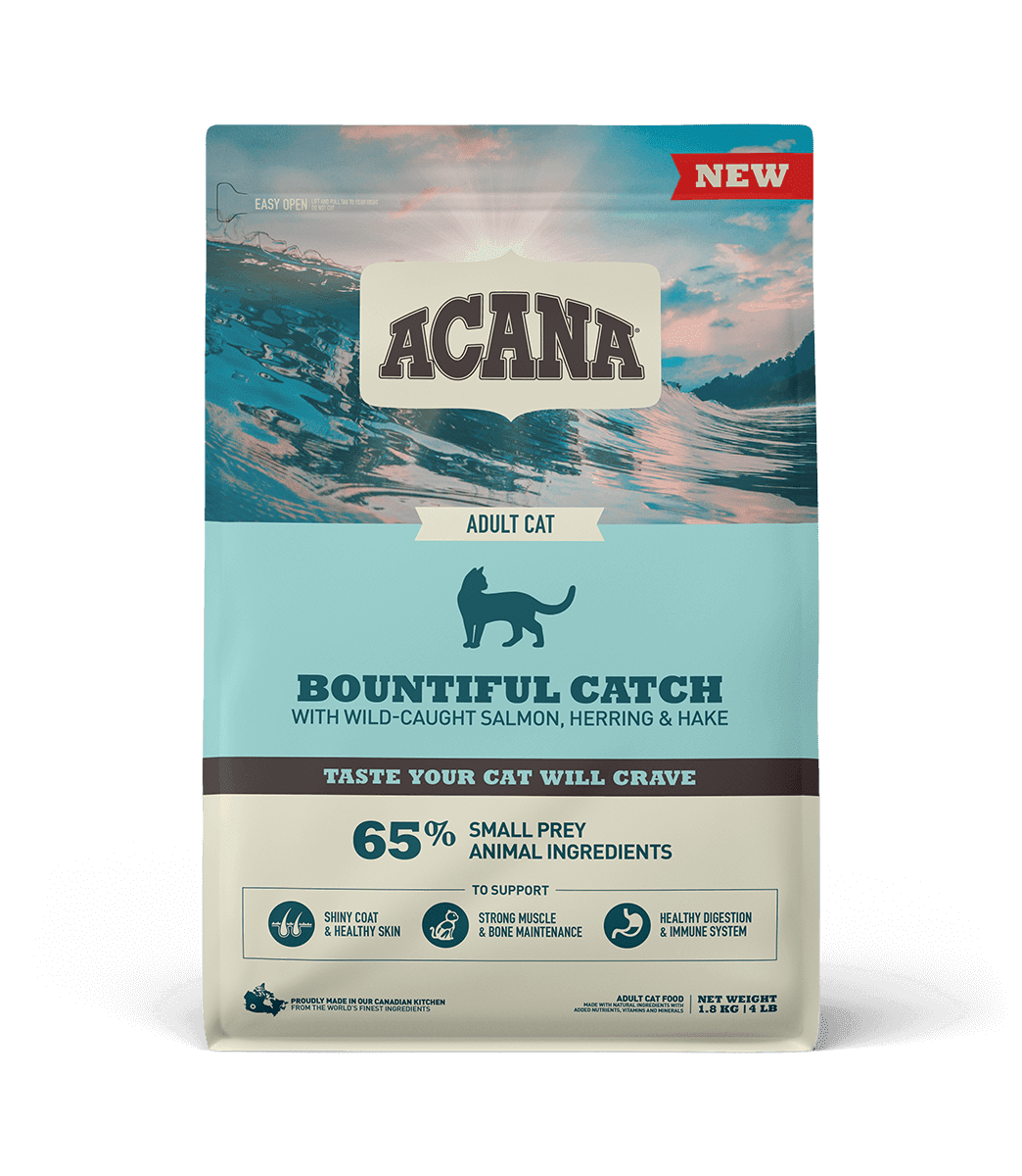 ACANA BOUNTIFUL CATCH CAT