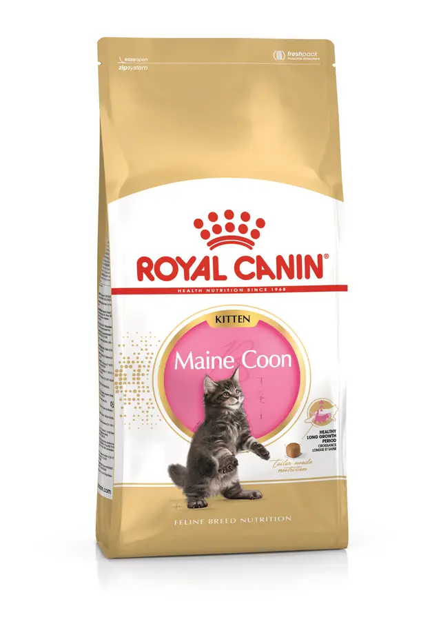 ROYAL CANIN MAINECOON KITTEN
