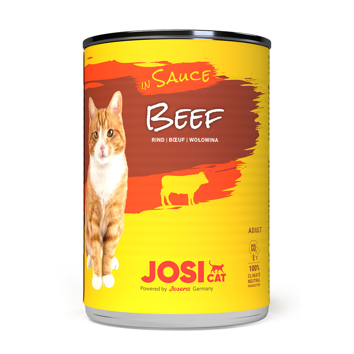 JosiCat Beef in Sauce